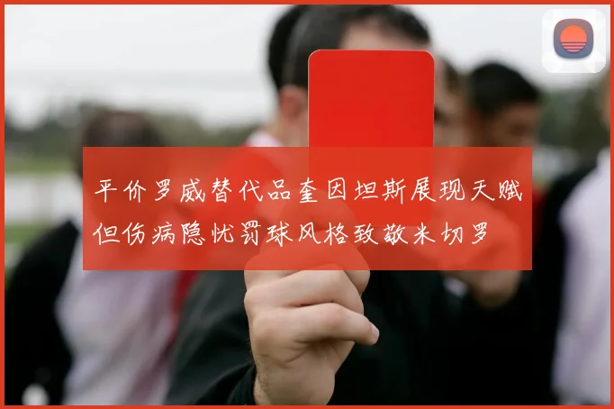平价罗威替代品奎因坦斯展现天赋但伤病隐忧罚球风格致敬米切罗